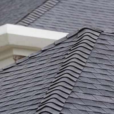Roof Daytona Beach